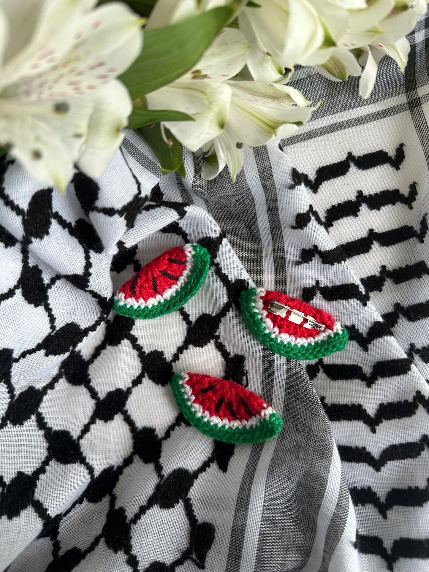 Broche pastèque